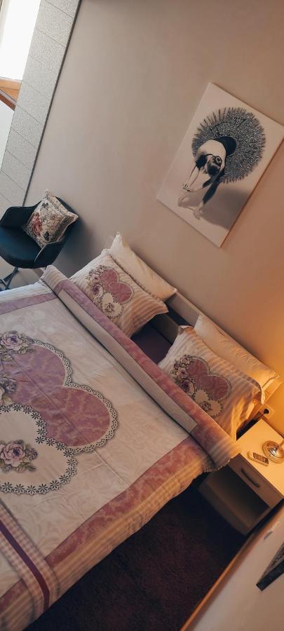 Apartments Peranovic コトル エクステリア 写真
